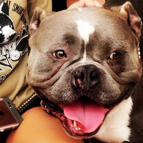 Frank-8.jpg