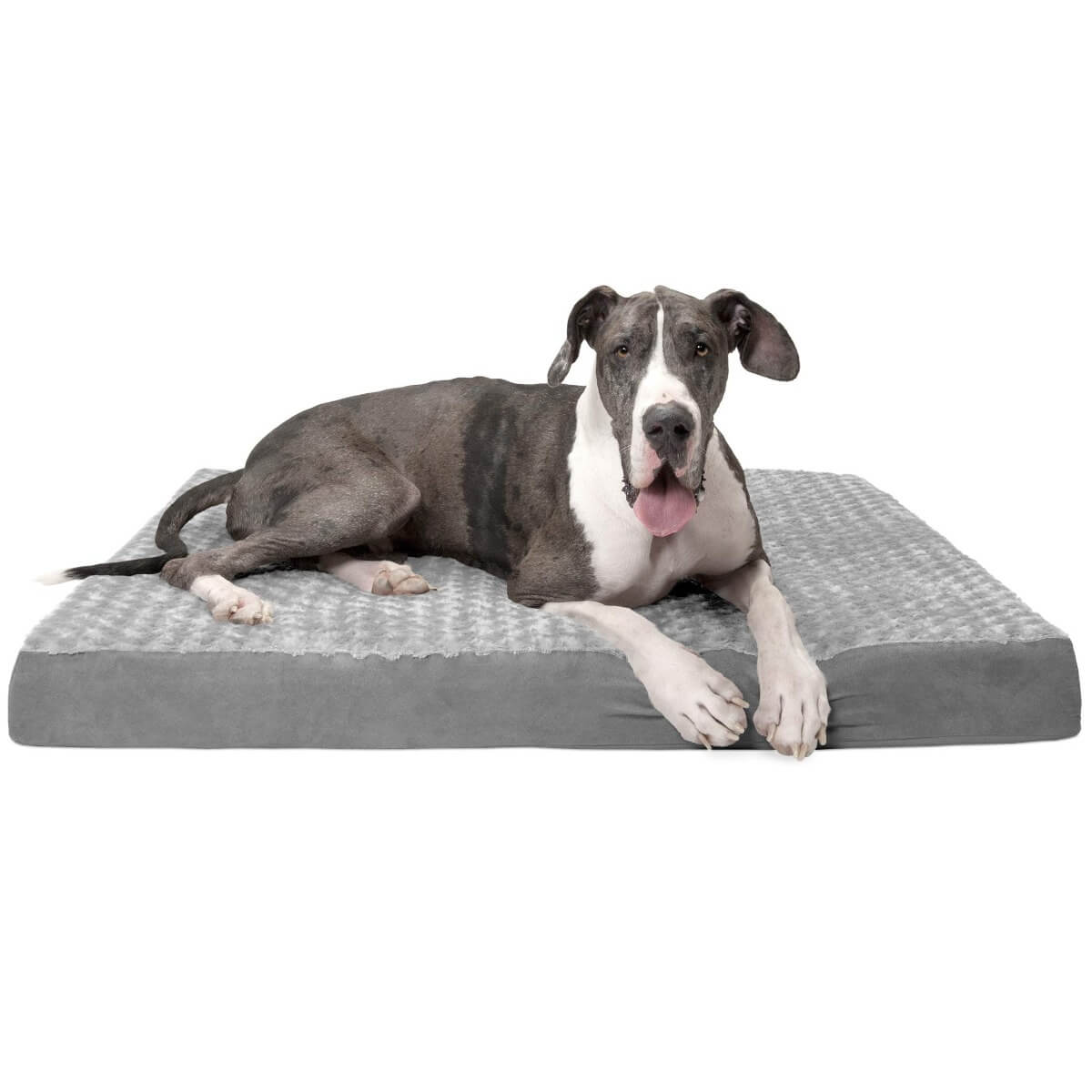 FurHaven-Orthopedic-Pet-Bed_DesertCart.jpg