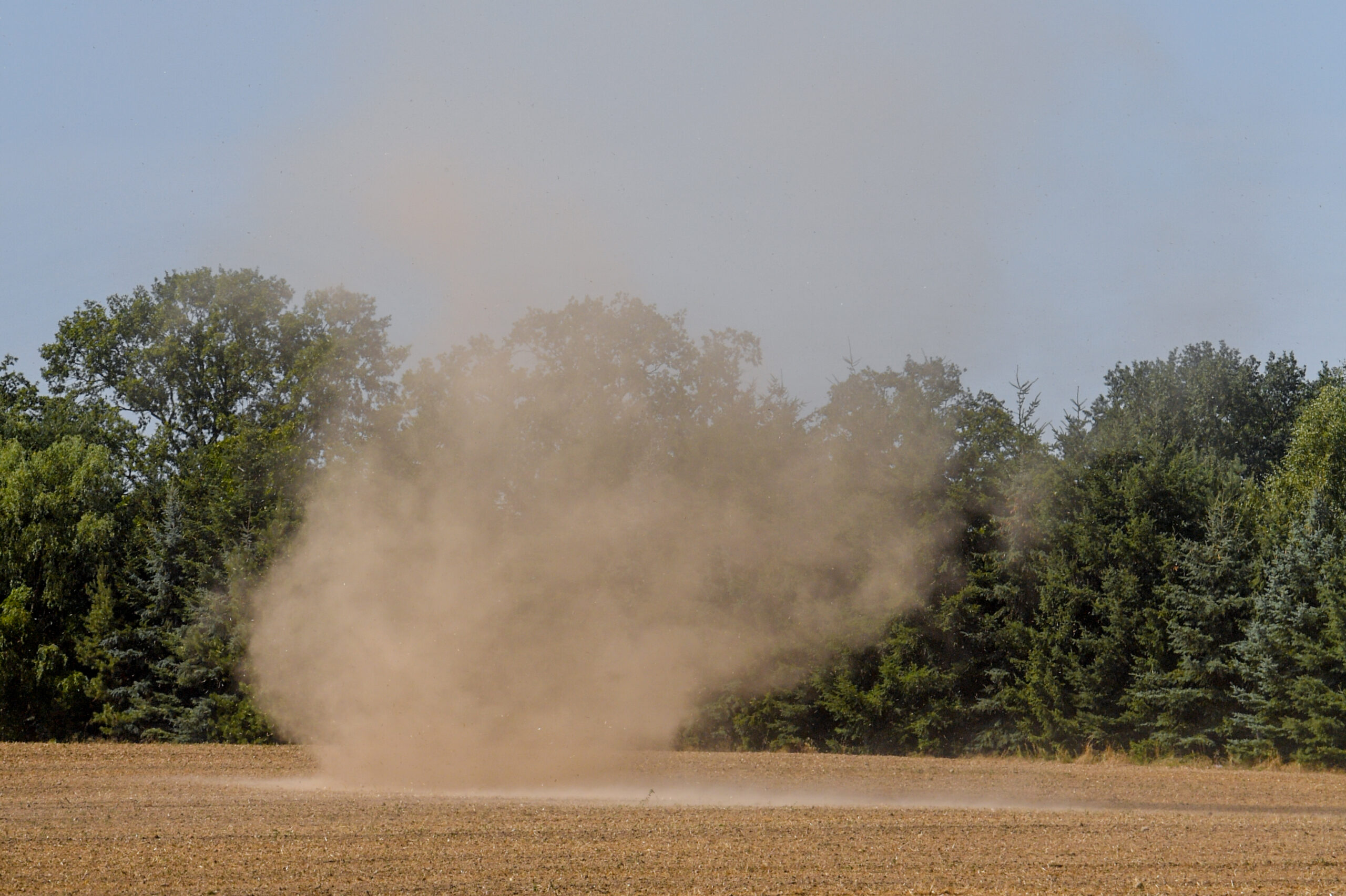 Dust Devil