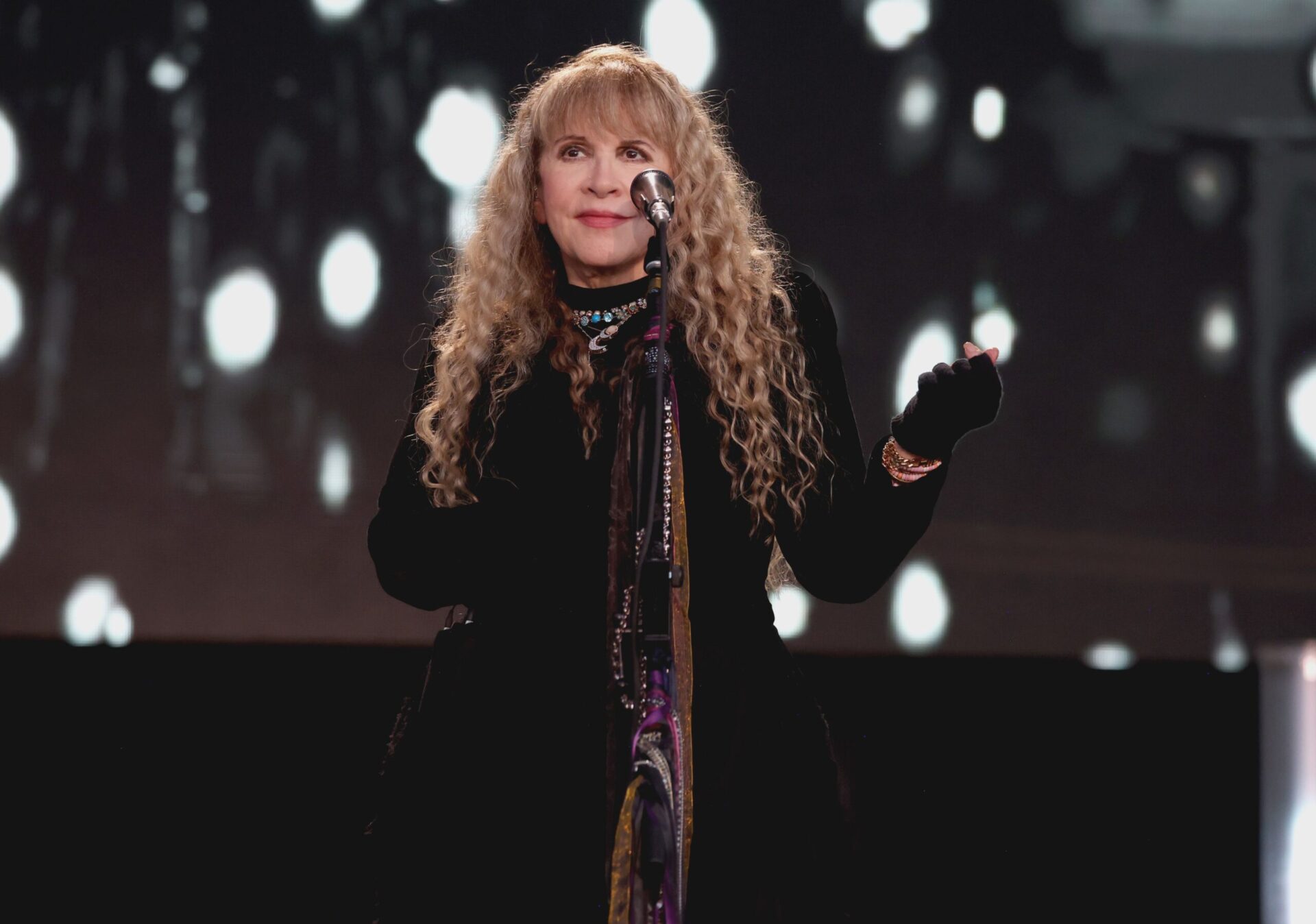 Stevie Nicks