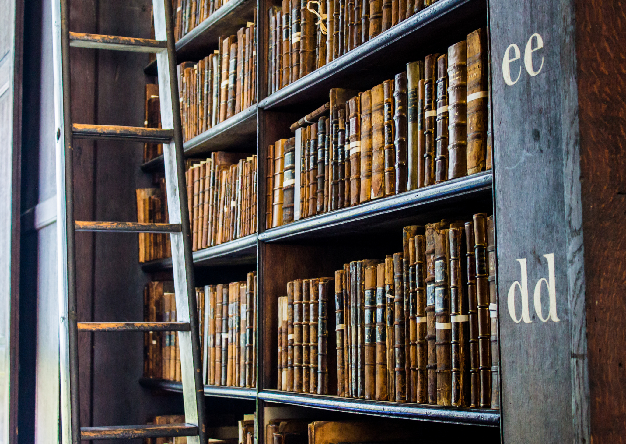 Bookshelves of an old library