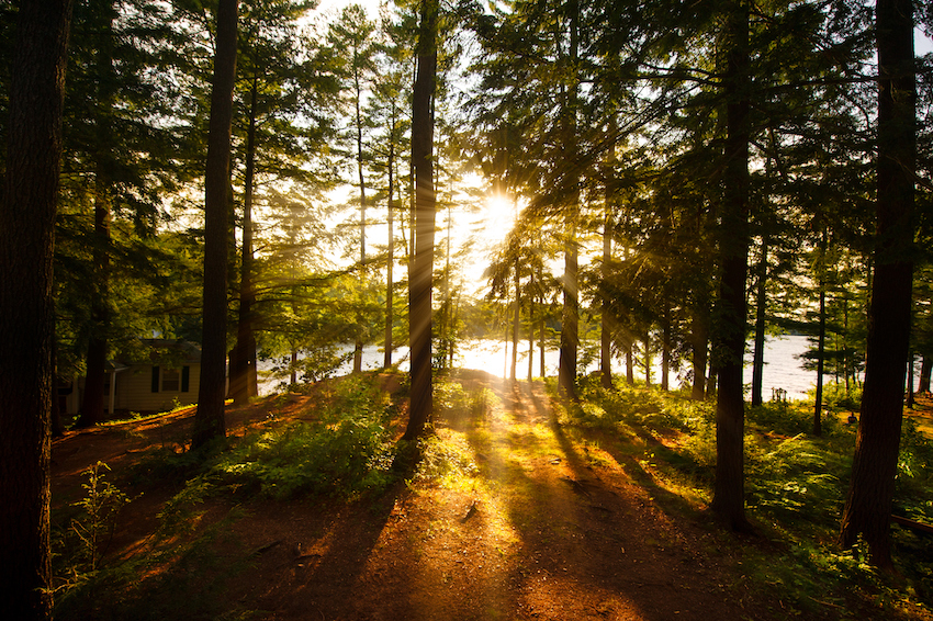 Sunrays filtering to the trees near a cottage