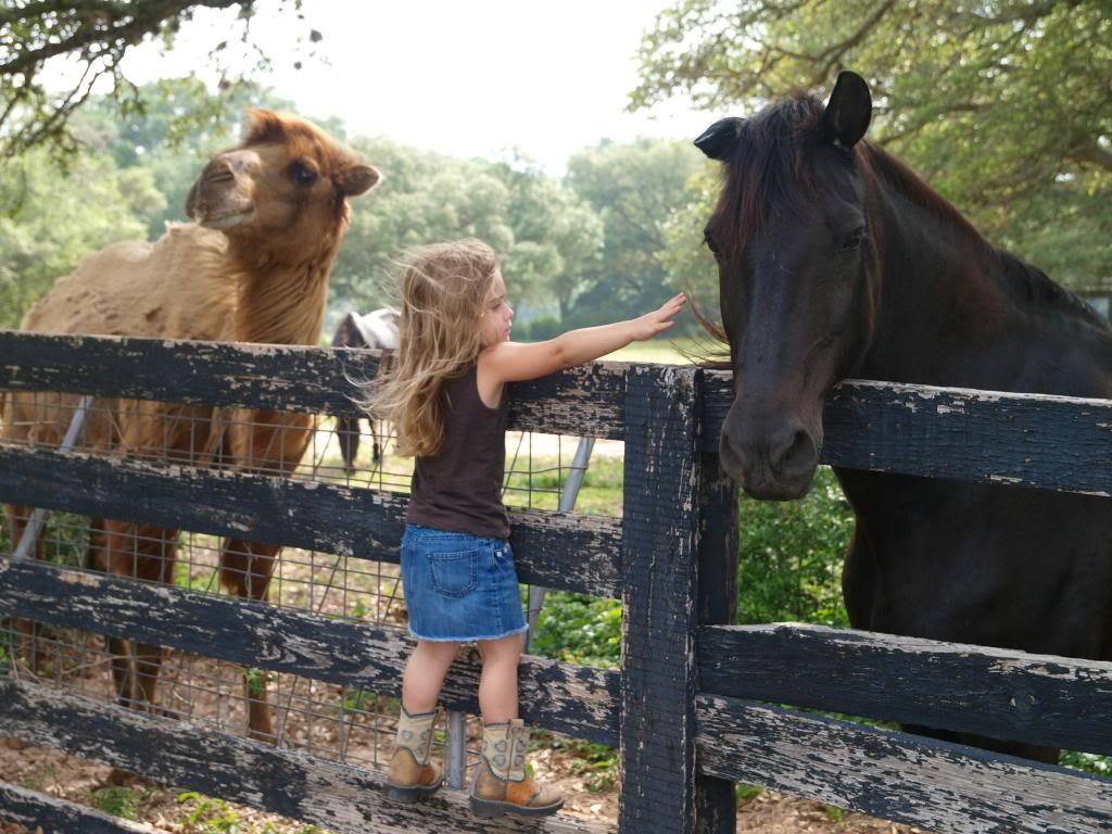 Girl-playing-with-animals.jpg