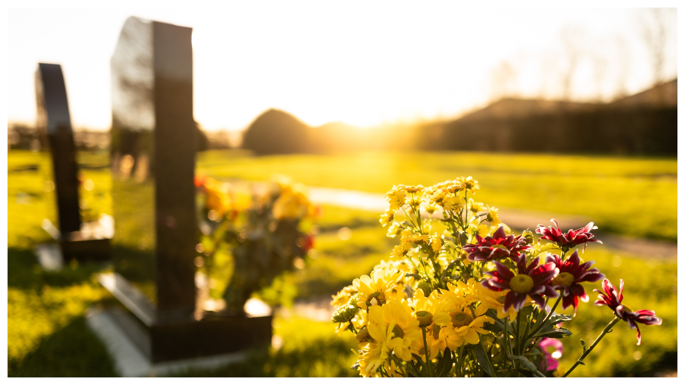 Grave Featured