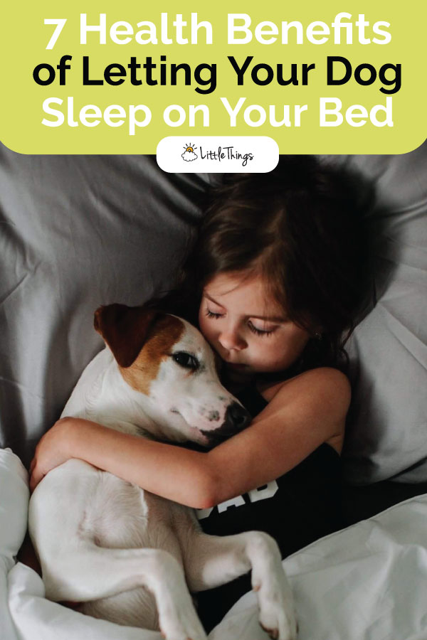 Health-Benefits-of-Letting-Your-Dog-Sleep-on-Your-Bed.jpg