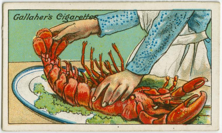 How-To-Judge-the-Freshness-of-a-Lobster1.jpg