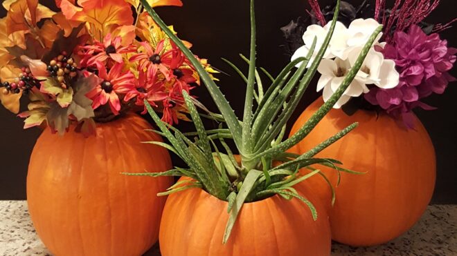 I Made Fall Floral Pumpkins _ Desiree O _ LittleThings _ featured