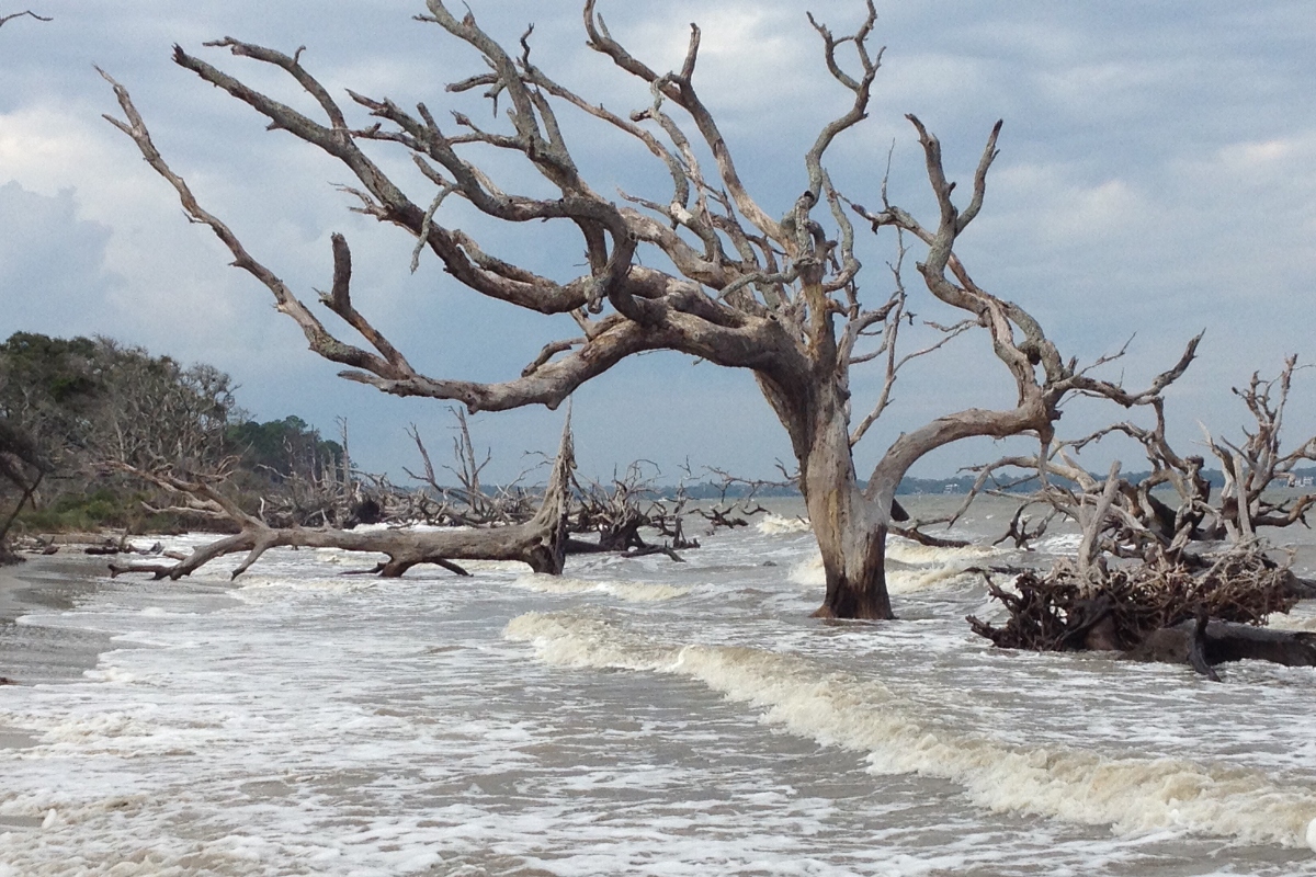 Jekyll-Island-Georgia.jpg