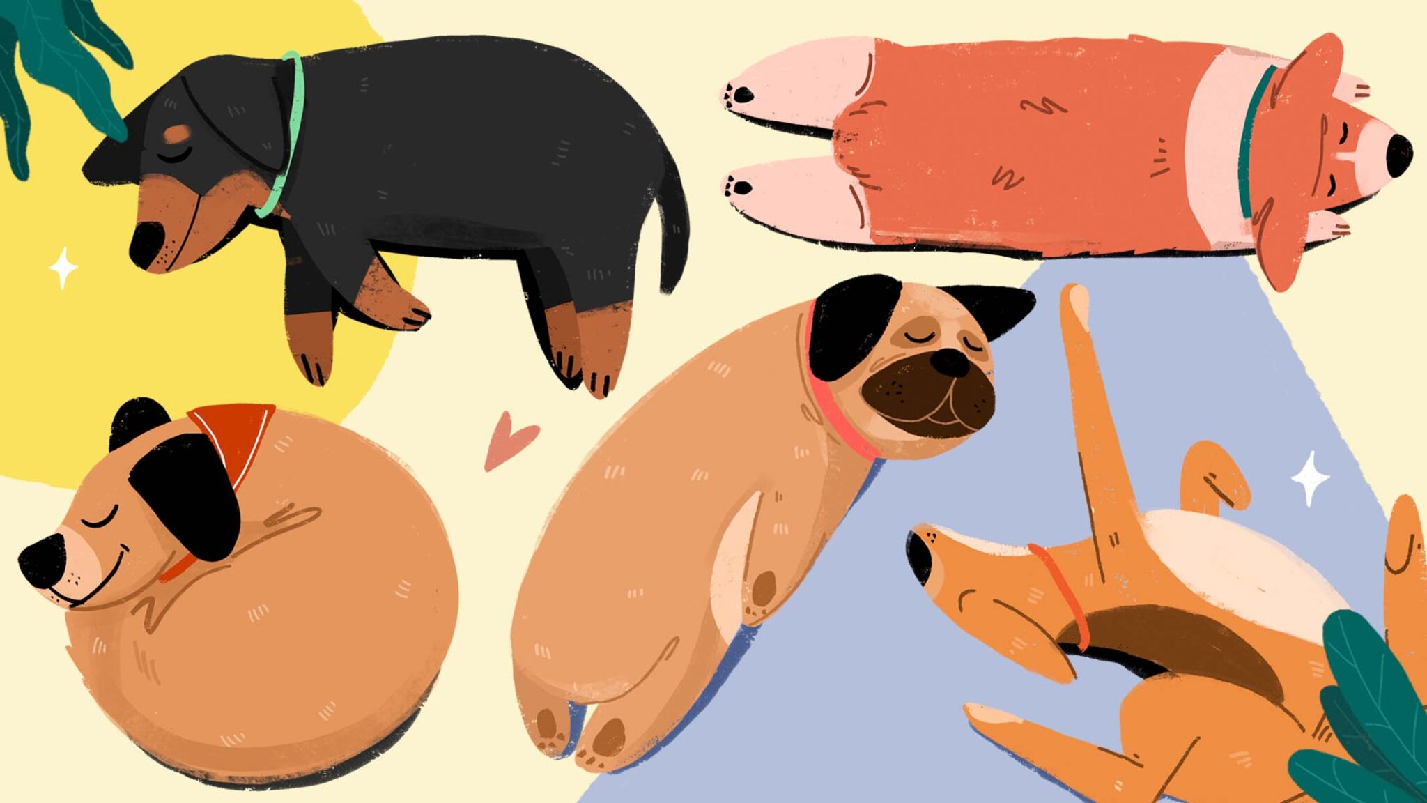 Dog positions. Cat nap and dog day [tynfq.