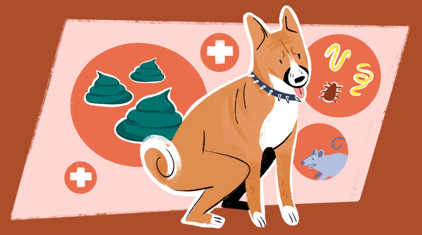 LT_SEO_9_Colors_And_Types_Of_Dog_Poop_03.jpg