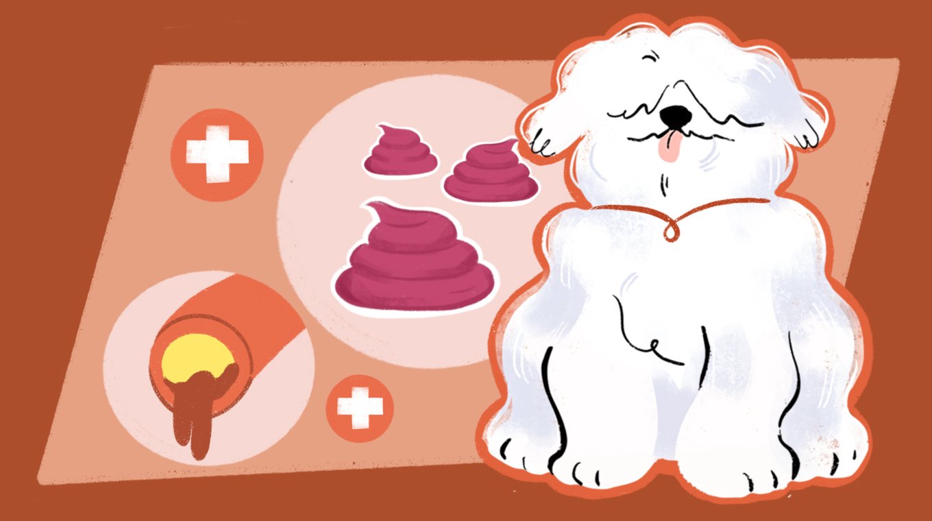 LT_SEO_9_Colors_And_Types_Of_Dog_Poop_09.jpg