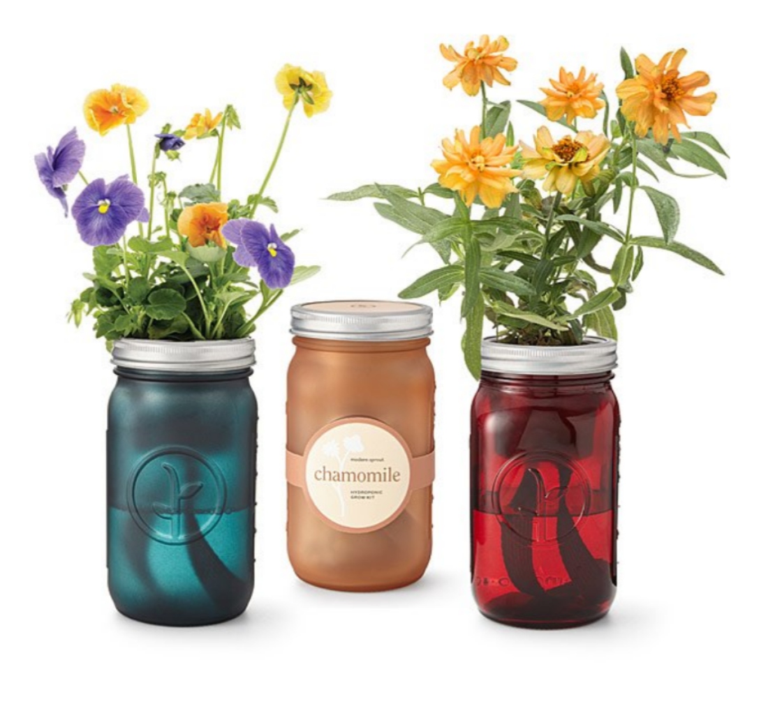 Mason-Jar-Indoor-Flower-Garden-window-garden-hydroponics-Uncommon-Goods.jpg