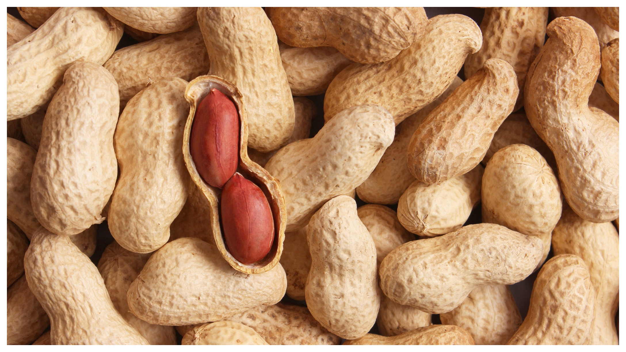 Peanuts