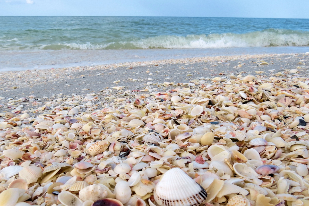 Sanibel-Island-Florida.jpg