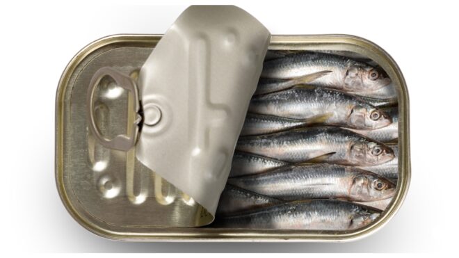 Sardines Featured