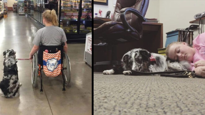 Screen Shot 2017-11-07 at 2.51.51 PM copy