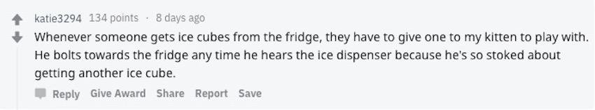 Screen-Shot-2019-04-01-at-1.39.13-PM.jpg