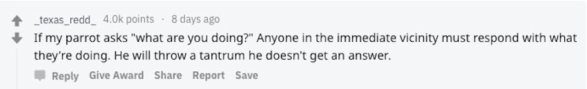 Screen-Shot-2019-04-01-at-1.43.45-PM.jpg