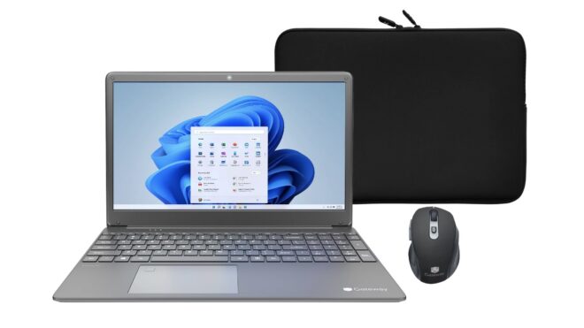 Screen Shot 2022-10-11 at 1.20.51 PM