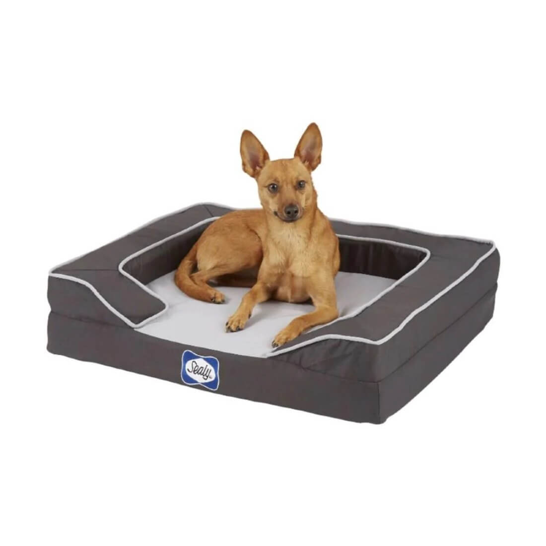 Sealy-Lux-Pet-Dog-Bed_Canine-Co.jpg