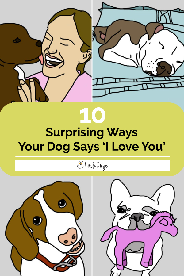 Surprising-Ways-Your-Dog-Says-I-Love-You-Pinterest-Image.jpg