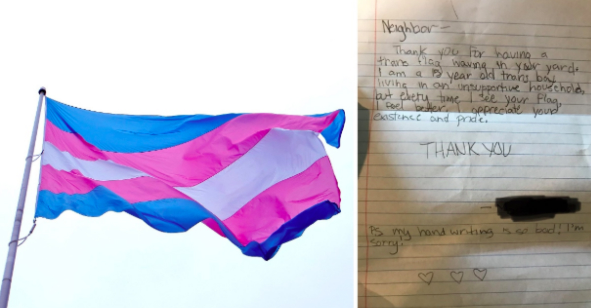 Trans Flag