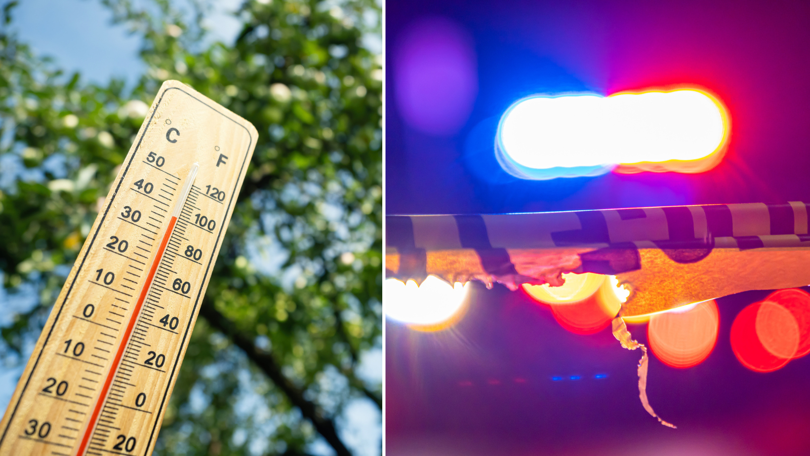 Elderly South Carolina Couple Found Dead in Their Home Where Heater Was(02)