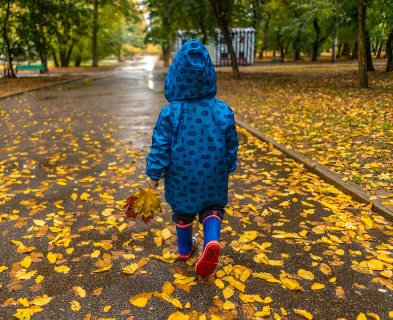 after-the-rain-autumn-autumn-leaves-3036397.jpg