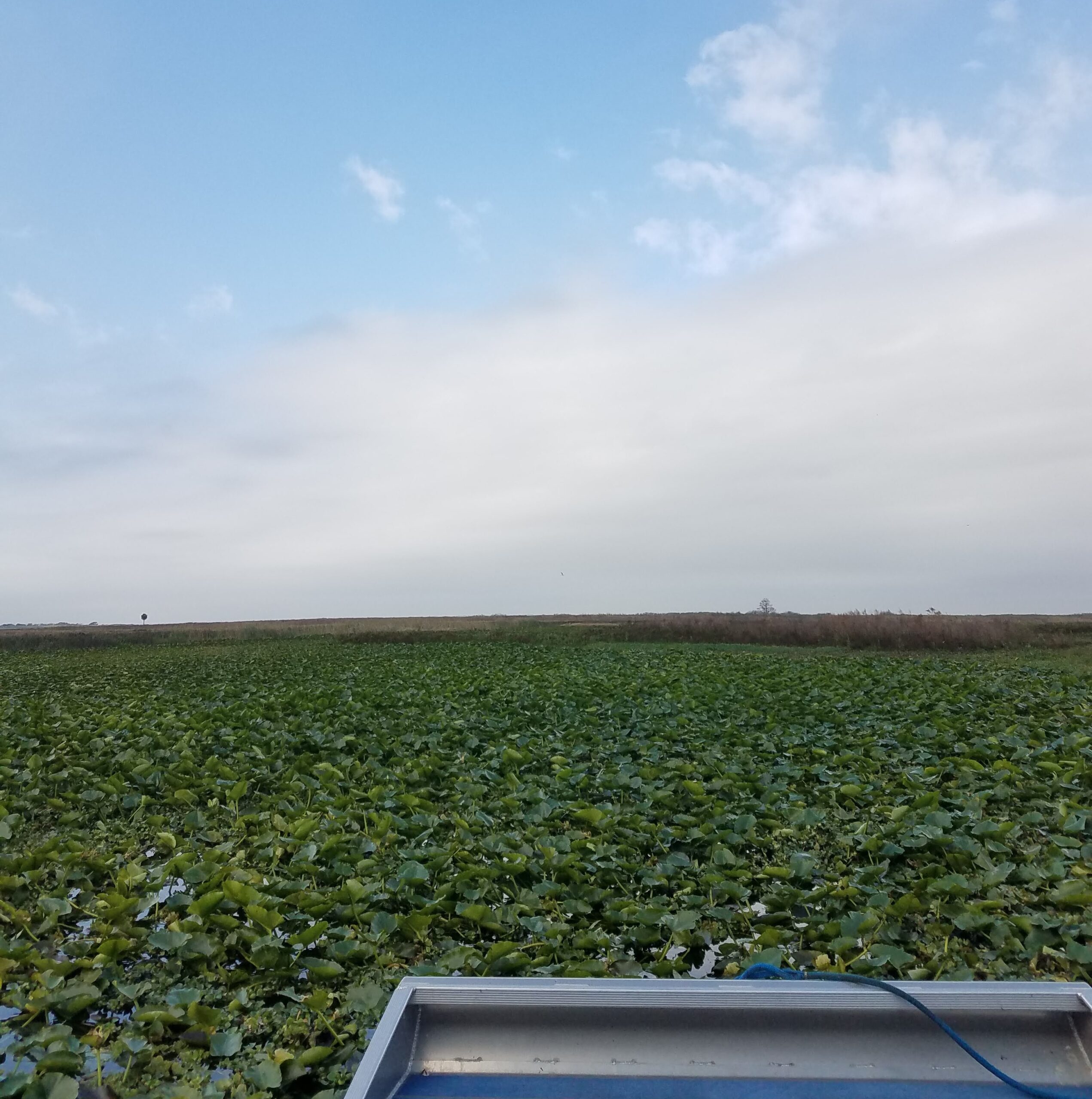 airboat-three.jpg