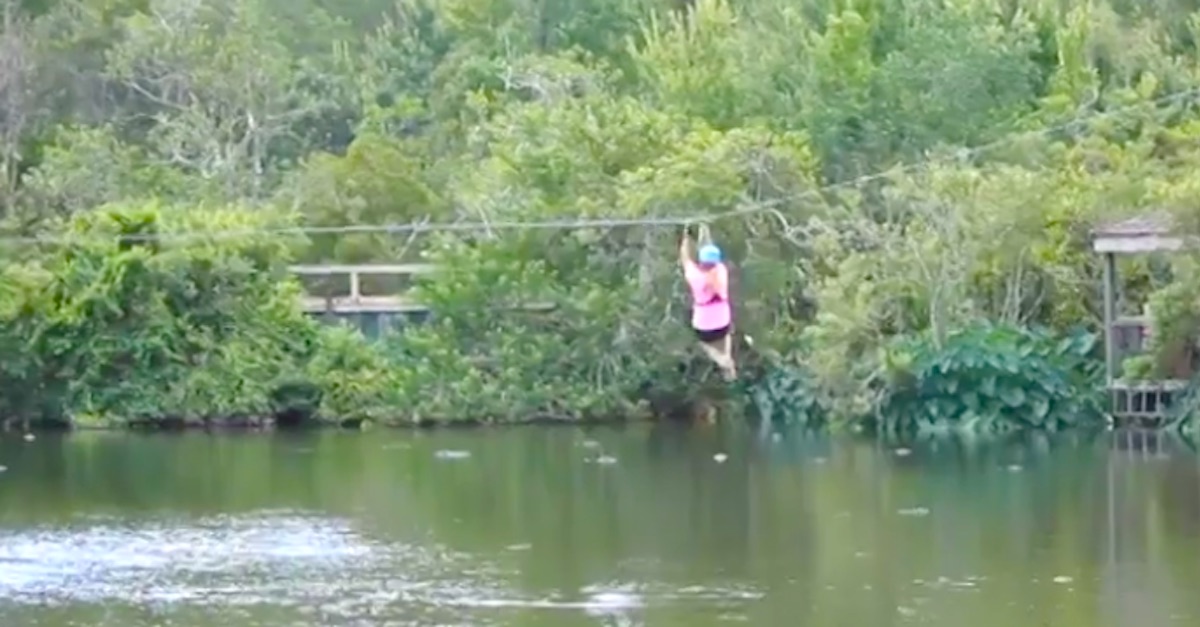 alligator-zip-line