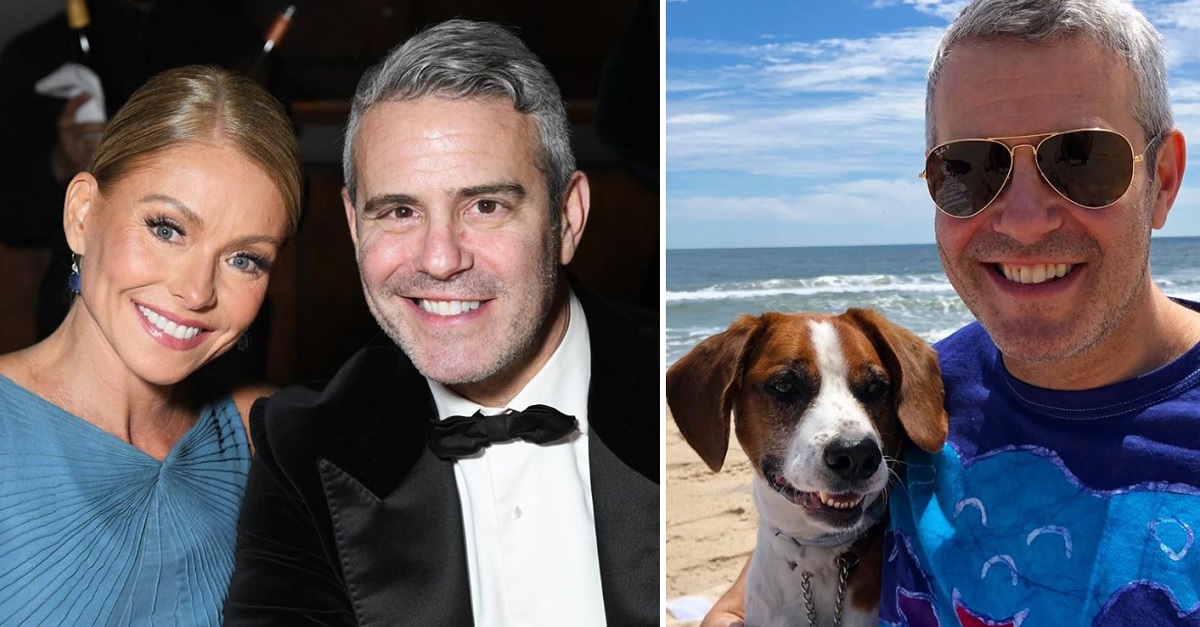 andy-cohen