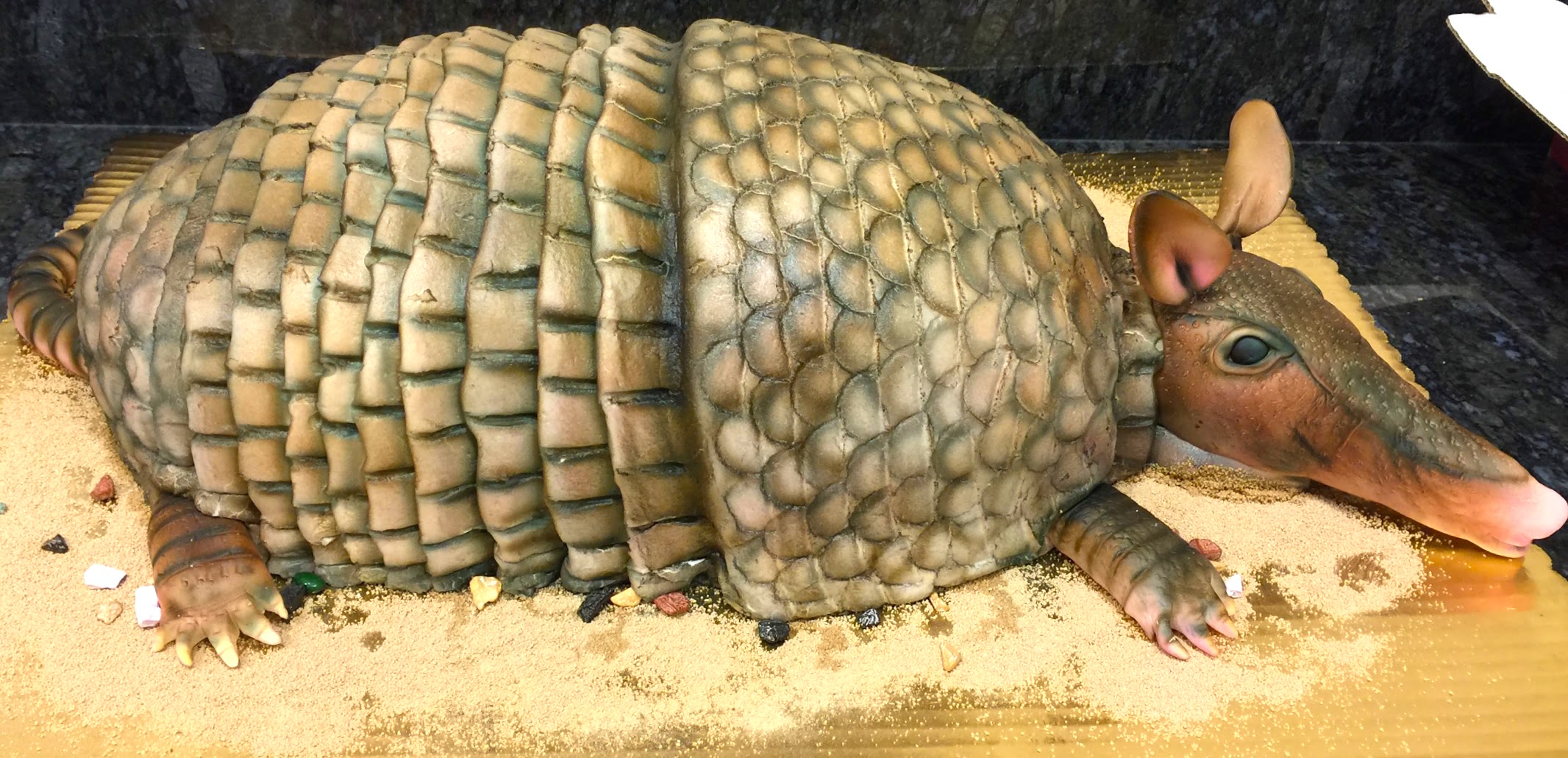 armadillo.jpg