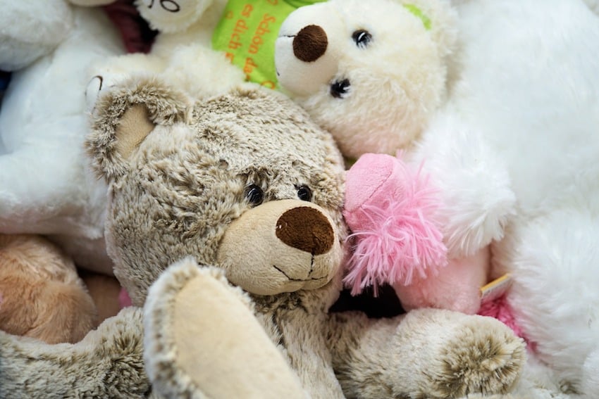 bear-2102443_1920.jpg