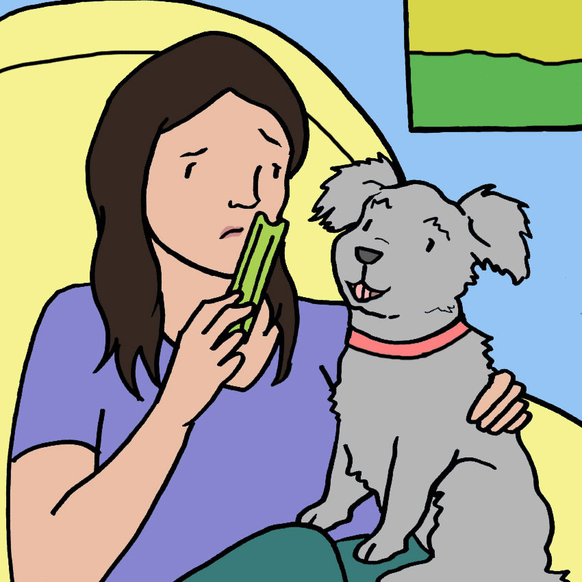 can-dogs-eat-celery-1.jpg