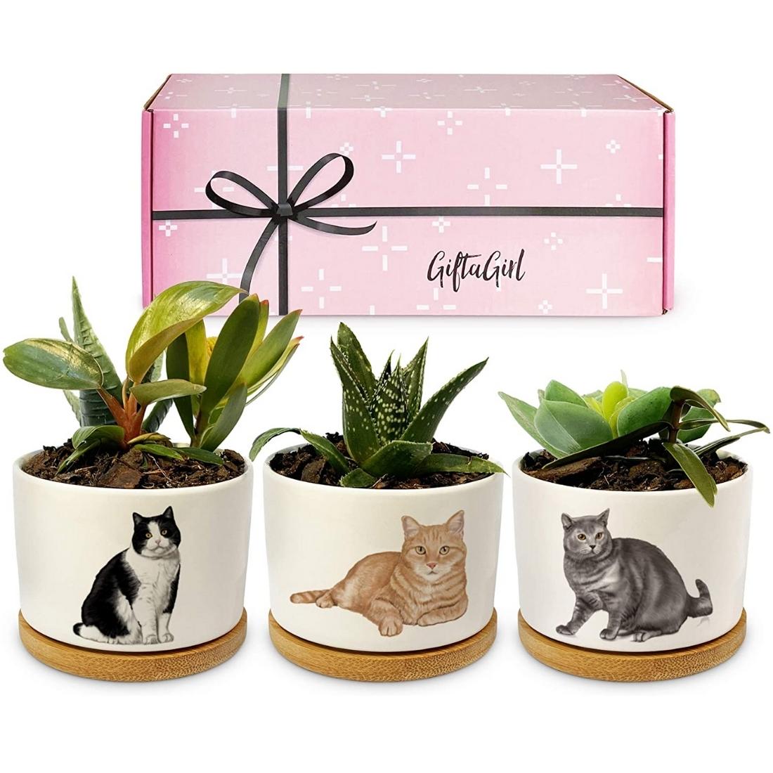 cat-owner-gifts-2021-3.jpg