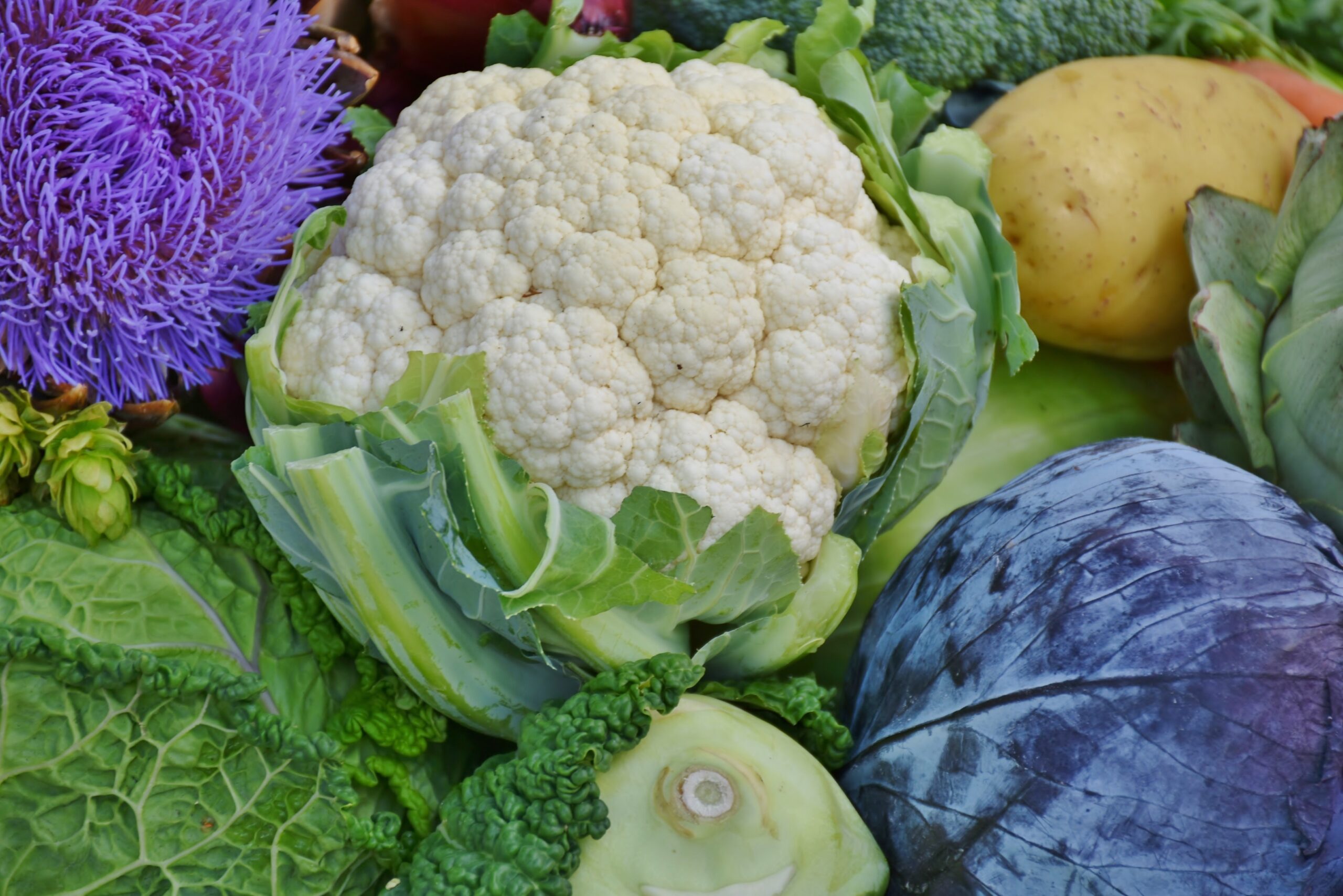 cauliflower-food-fresh-ingredients-209426.jpg