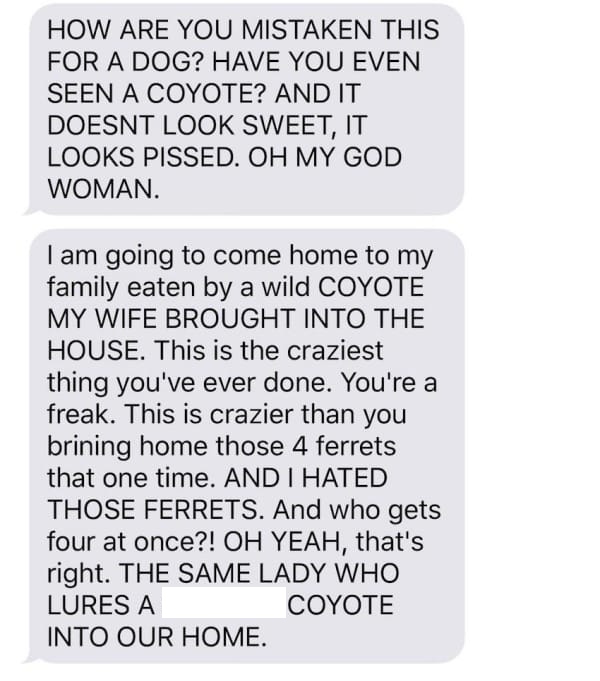 coyote-texts-4.jpg