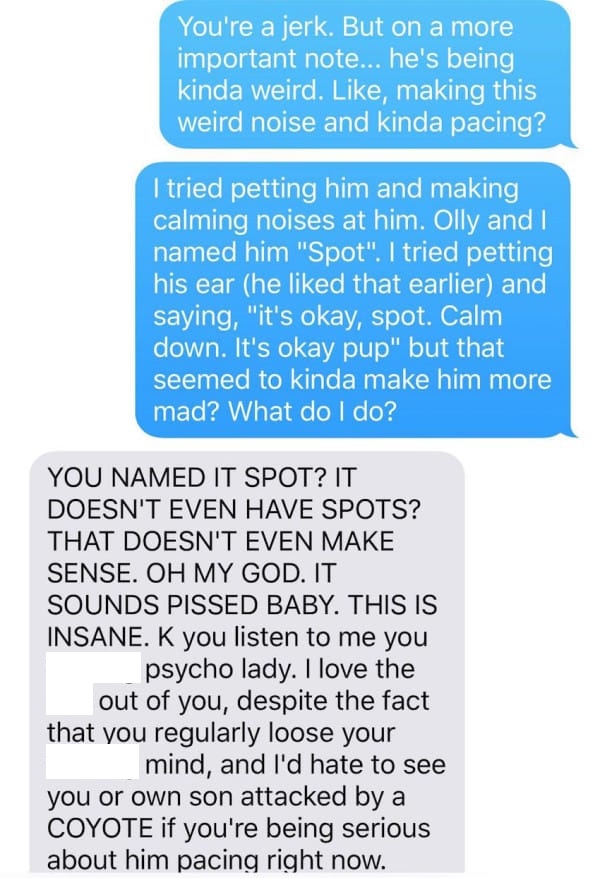 coyote-texts-6.jpg