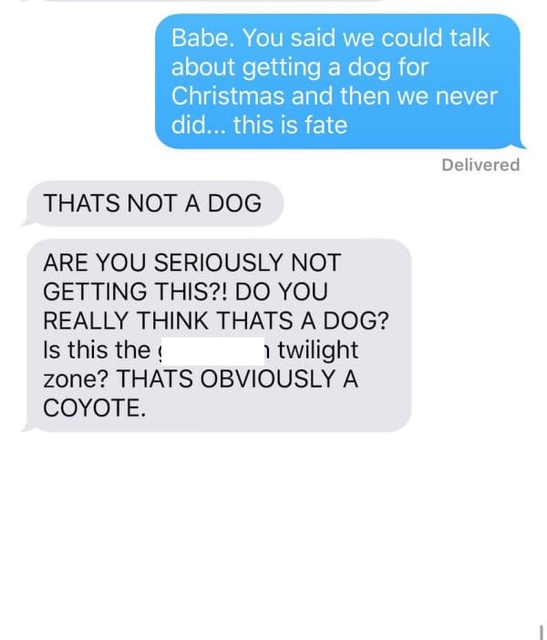 coyote-texts-8.jpg