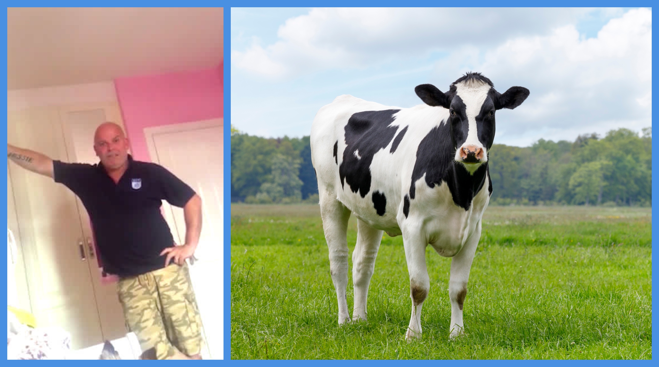 dad-cow