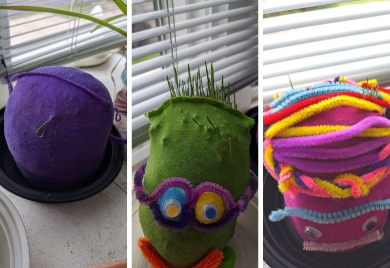 diy-chia-pets-7.jpg