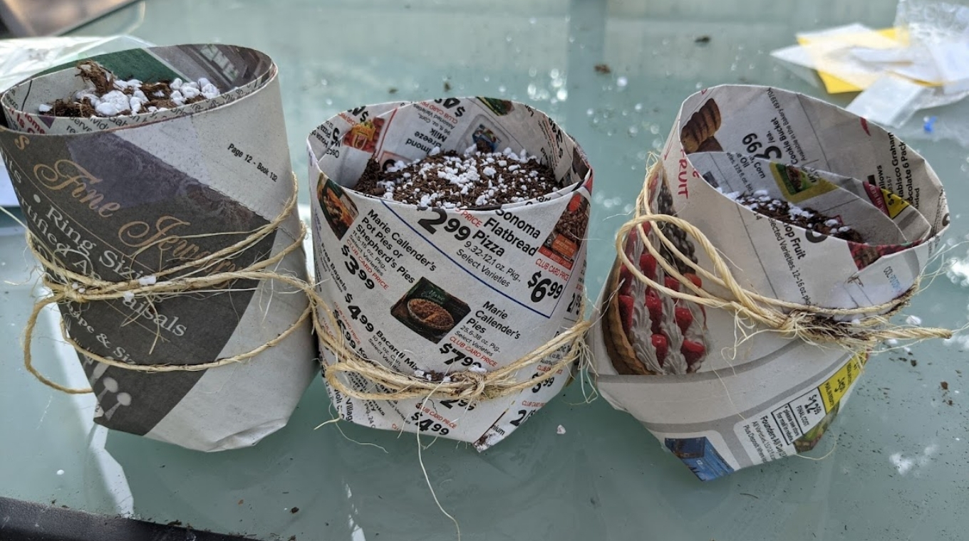 diy-newspaper-plant-pots-12.jpg