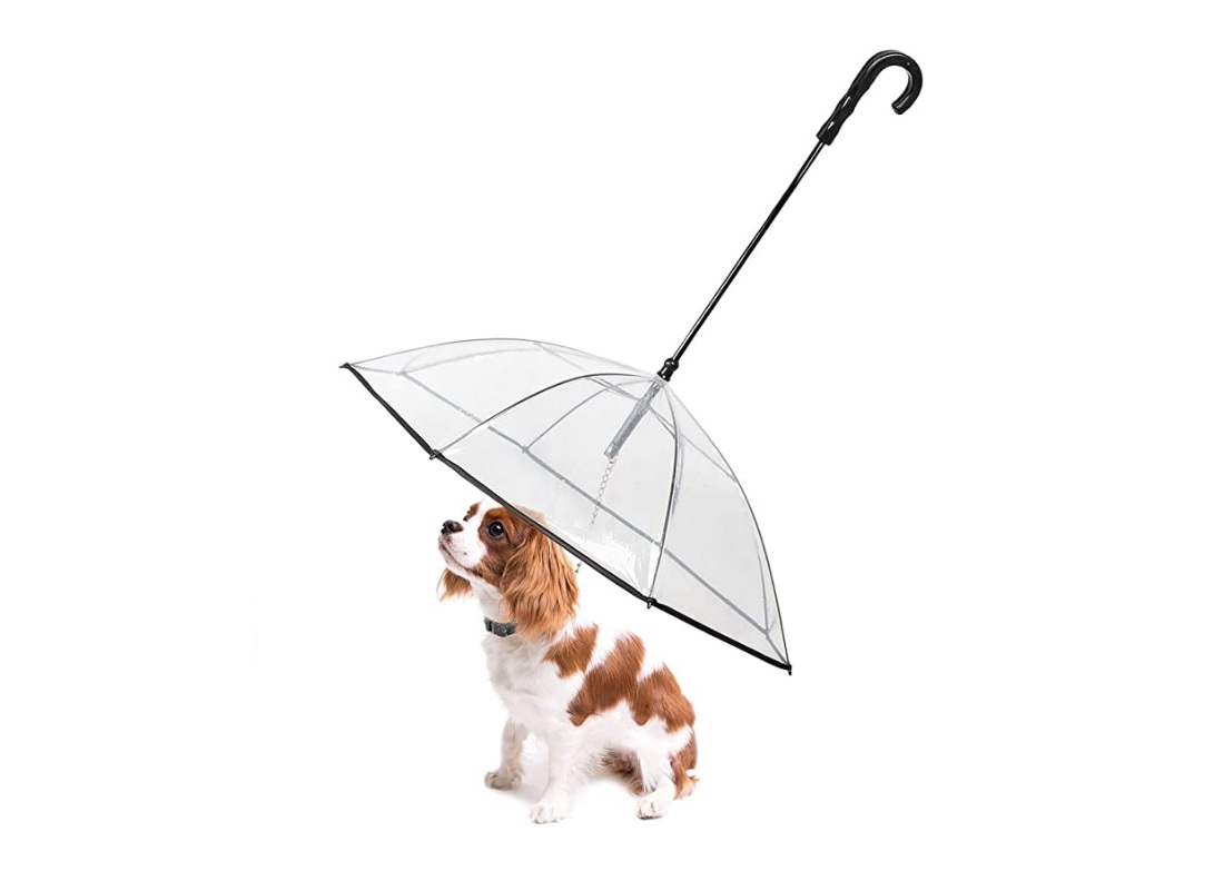 dog-umbrella-1.jpg