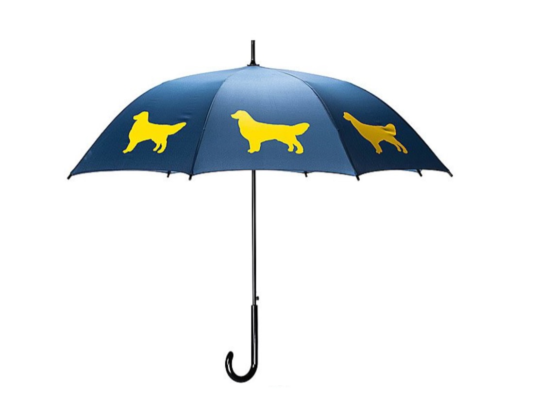 dog-umbrella.jpg