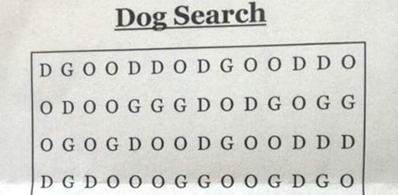 dog word search