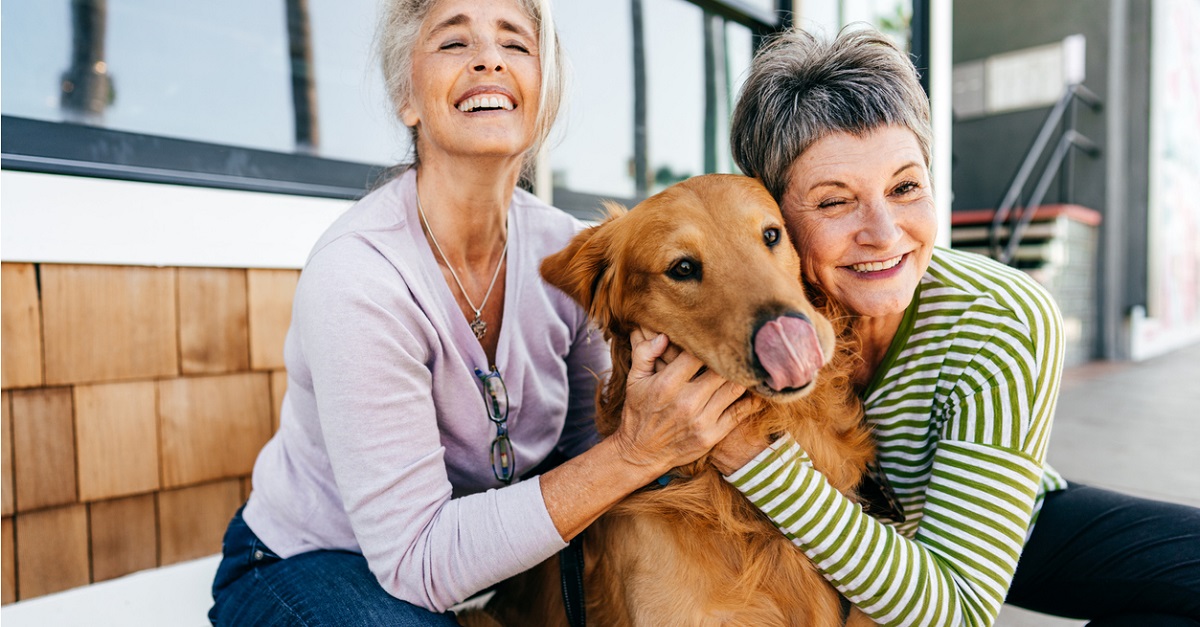 Happy and healthy life of dog owners