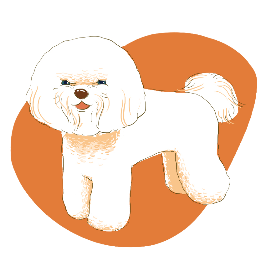 embeddedIMG_14-Dog-Breeds-That-Dont-ShedAre-Hypoallergenic_850px_7.jpg