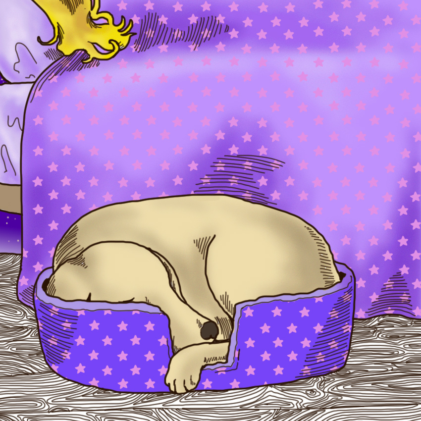 embeddedIMG_DogSleepingPositions_850px_9.jpg