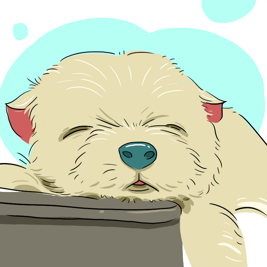 embeddedIMG_Here_s-How-to-Deal-With-a-Sick-Puppy_850px-IM1.jpg