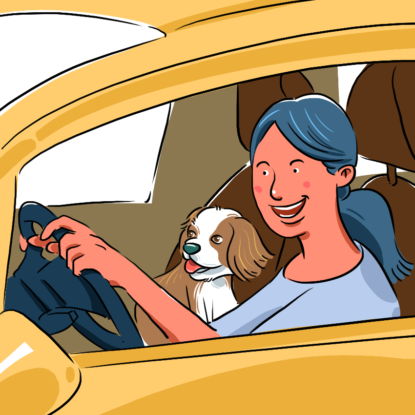 embeddedIMG_Here_s-How-to-Deal-With-a-Sick-Puppy_850px-IM10.jpg